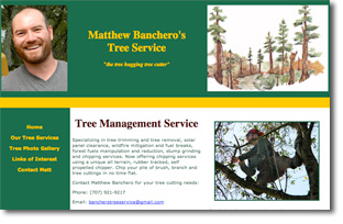 Matt Banchero tree service